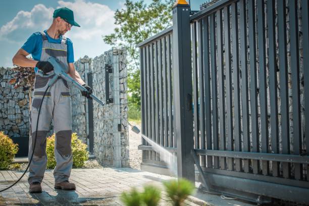 Best Roof Washing  in Corunna, MI