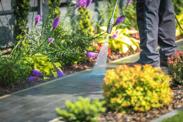 Best Animal Enclosure Cleaning  in Corunna, MI