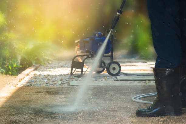 Best House Exterior Washing  in Corunna, MI